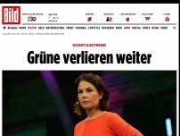 Bild zum Artikel: Sonntagstrend - Grüne verlieren weiter