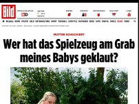 Bild zum Artikel: Mutter schockiert - Wer hat Spielzeug am Grab meines Babys geklaut?