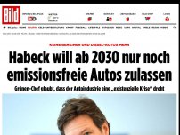 Bild zum Artikel: Keine Benziner und Diesel-Autos mehr - Habeck will ab 2030 nur noch emissionsfreie Autos zulassen