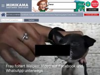 Bild zum Artikel: Frau foltert Welpen: Video auf Facebook und WhatsApp unterwegs