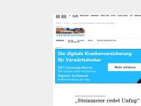 Bild zum Artikel: Bundespräsident Steinmeier sieht AfD nicht als bürgerlich an