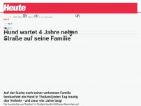 Bild zum Artikel: Hund wartet 4 Jahre neben Straße auf seine Familie