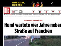 Bild zum Artikel: Jetzt gibt's ein Happy End - Hund wartete vier Jahre neben Straße auf Frauchen