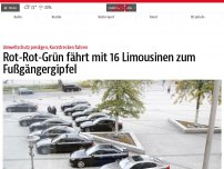 Bild zum Artikel: Rot-Rot-Grün fährt mit 16 Limousinen zum Fußgängergipfel