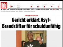 Bild zum Artikel: Zwei Feuer gelegt - Gericht erklärt Asyl-Brandstifter für schuldunfähig