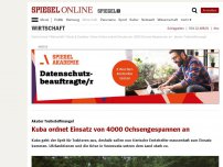 Bild zum Artikel: Akuter Treibstoffmangel: Kuba ordnet Einsatz von 4000 Ochsen-Gespannen an