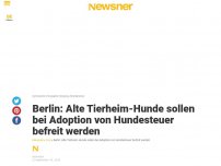 Bild zum Artikel: Berlin: Alte Tierheim-Hunde sollen bei Adoption von Hundesteuer befreit werden