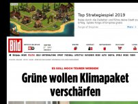 Bild zum Artikel: Es soll noch teurer werden! - Grüne wollen Klimapaket verschärfen