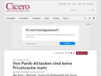 Bild zum Artikel: Greta Thunbergs Wutrede – Ihre Panikattacken sind keine Privatsache mehr