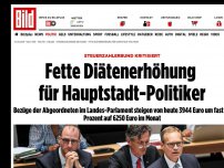 Bild zum Artikel: Steuerzahlerbund-Kritik - Fette Diätenerhöhung für Hauptstadt-Politiker