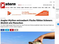 Bild zum Artikel: Neue Studie: Angler-Mythos entzaubert: Fische fühlen Schmerz ähnlich wie Menschen