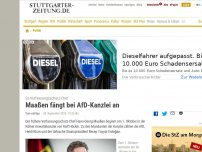 Bild zum Artikel: Ex-Verfassungsschutz-Chef: Maaßen fängt bei AfD-Kanzlei an