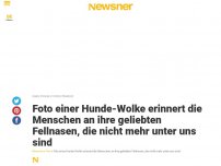 Bild zum Artikel: Foto einer Hunde-Wolke erinnert die Menschen an ihre geliebten Fellnasen, die nicht mehr unter uns sind