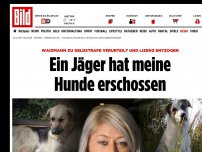 Bild zum Artikel: Geldstrafe und Lizenz weg - Ein Jäger hat meine Hunde erschossen