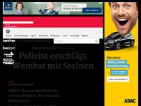 Bild zum Artikel: Polizist erschlägt Wombat mit Steinen