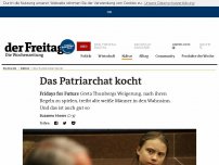 Bild zum Artikel: Fridays for Future | Das Patriarchat kocht