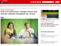 Bild zum Artikel: Kritik am GroKo-Klimapaket - Ende von Verbrennern, weniger Fleisch: Das sind die radikalen Klimapläne der Grünen