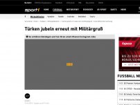 Bild zum Artikel: Nächster Eklat! Türkei jubelt erneut mit Militärgruß