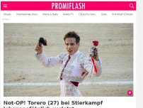 Bild zum Artikel: Not-OP! Torero (27) bei Stierkampf lebensgefährlich verletzt