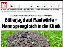 Bild zum Artikel: Böllerjagd auf Maulwürfe - Gemeindemitarbeiter sprengt sich in die Klinik