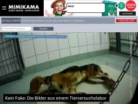 Bild zum Artikel: Kein Fake: Die Bilder aus einem Tierversuchslabor