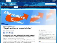 Bild zum Artikel: Verfassungsschutzchef zur AfD: ''Flügel' wird immer extremistischer'