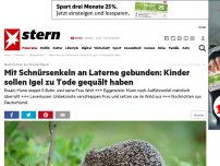 Bild zum Artikel: Nachrichten aus Deutschland: Ins Auto gezerrt: Unbekannte verschleppen Frau und setzen sie allein im Wald aus