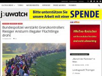 Bild zum Artikel: Bundespolizei verstärkt Grenzkontrollen: Riesiger Ansturm illegaler Flüchtlinge droht