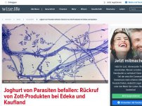 Bild zum Artikel: Joghurt von Parasiten befallen: Rückruf von Zott-Produkten bei Edeka und Kaufland