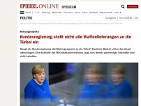 Bild zum Artikel: Rüstungsexporte: Bundesregierung stellt nicht alle Waffenlieferungen an die Türkei ein