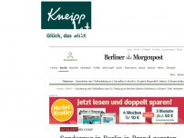 Bild zum Artikel: Bellevue : Sonderzug in Berlin in Brand - Mehrere Menschen verletzt