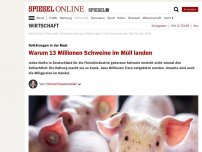 Bild zum Artikel: Nottötungen in der Mast: Warum 13 Millionen Schweine im Müll landen