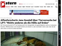 Bild zum Artikel: Noch weitere 113 Versuche: Affenforscherin Jane Goodall über Tierversuche bei LPT: 'Nichts anderes als die Hölle auf Erden'