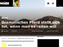 Bild zum Artikel: Dramatisches Pferd stellt sich tot, wenn man es reiten will