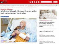 Bild zum Artikel: Emotionales Wiedersehen - Sein letzter Wunsch: Vietnam-Veteran wollte noch einmal seinen Hund sehen