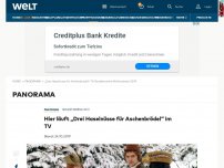 Bild zum Artikel: Hier läuft „Drei Haselnüsse für Aschenbrödel“ im TV