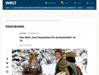 Bild zum Artikel: Hier läuft „Drei Haselnüsse für Aschenbrödel“ im TV