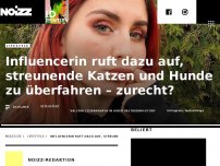 Bild zum Artikel: Influencerin ruft dazu auf, streunende Katzen und Hunde zu überfahren – zurecht?