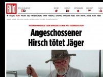 Bild zum Artikel: Mit Geweih aufgespießt - Angeschossener Hirsch tötet Jäger