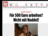Bild zum Artikel: Konzert abgesagt - Für 500 Euro arbeiten? Nicht mit Naddel!