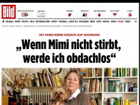 Bild zum Artikel: Keine Chance auf Wohnung - „Wenn Mimi nicht stirbt, werde ich obdachlos“