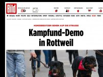 Bild zum Artikel: Hundebesitzer auf der Straße - Kampfund-Demo in Rottweil