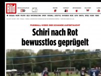 Bild zum Artikel: Skandal-Video - Schiri nach Rot bewusstlos geprügelt!