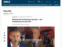 Bild zum Artikel: Für Gauland ist „Herr Höcke die Mitte der Partei“