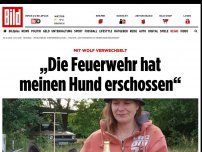 Bild zum Artikel: Mit Wolf verwechselt - „Die Feuerwehr hat meinen Hund erschossen“