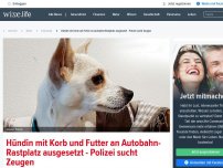 Bild zum Artikel: Hündin mit Korb und Futter an Autobahn-Rastplatz ausgesetzt - Polizei sucht Zeugen