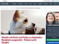 Bild zum Artikel: Hündin mit Korb und Futter an Autobahn-Rastplatz ausgesetzt - Polizei sucht Zeugen