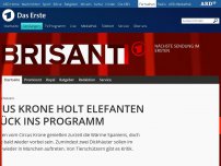 Bild zum Artikel: Circus Krone holt Elefanten zurück