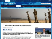 Bild zum Artikel: 11.000 Forscher warnen vor weltweitem Klimanotfall