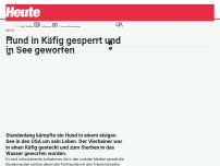 Bild zum Artikel: Hund in Käfig gesperrt und in See geworfen